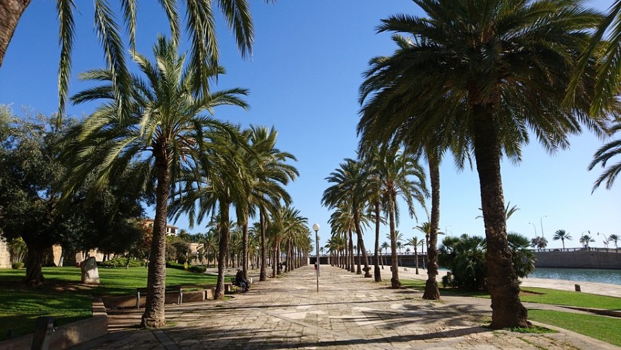 Voyage Palma depuis Lyon